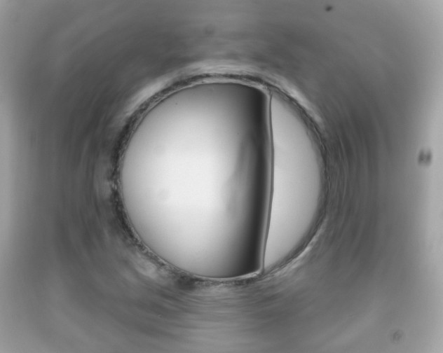 X0000091851213200709050928