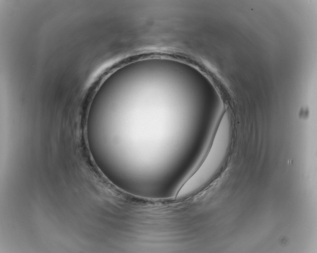 X0000091851214200709050928