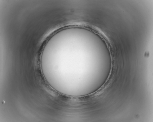 X0000091851215200709050928