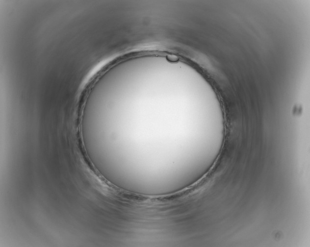 X0000091851216200709050928