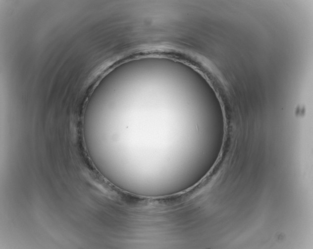 X0000091851217200709050928