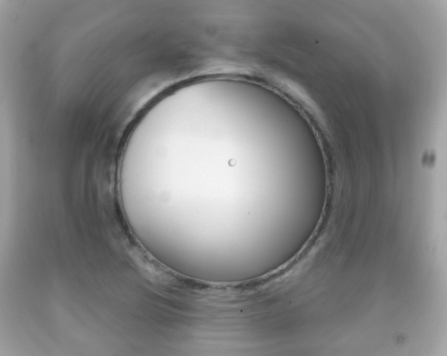 X0000091851220200709050928