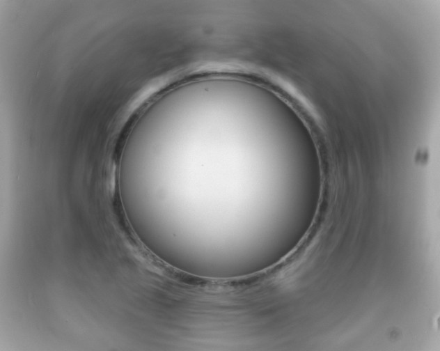 X0000091851221200709050929