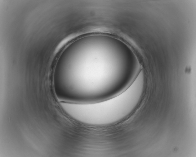 X0000091851222200709050929