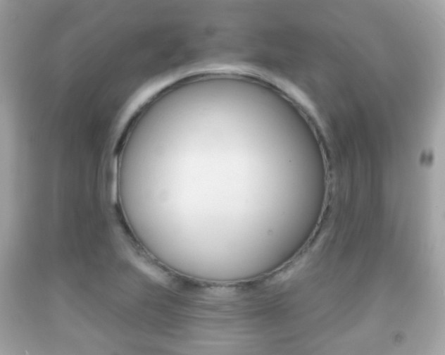 X0000091851223200709050929