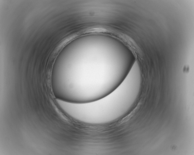 X0000091851225200709050929