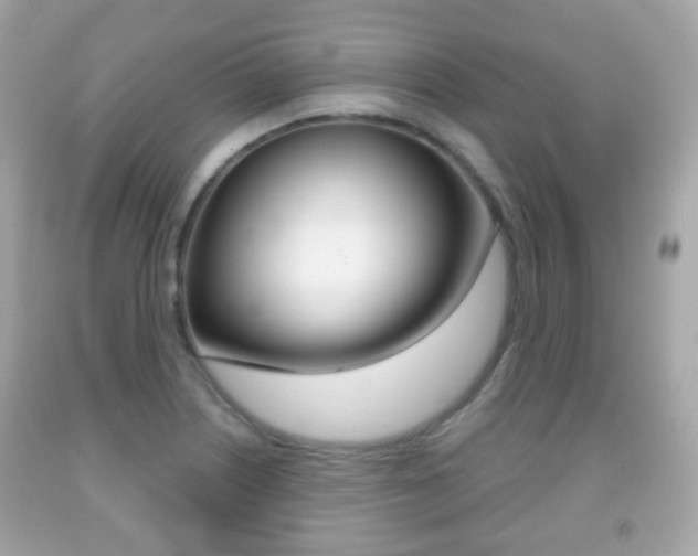 X0000091851226200709050929