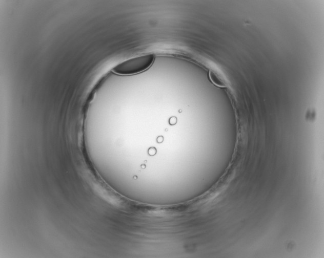 X0000091851227200709050929