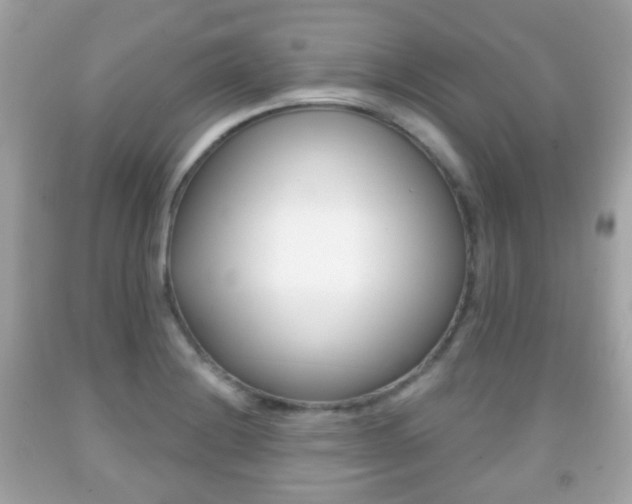 X0000091851228200709050929