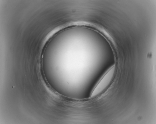 X0000091851229200709050929