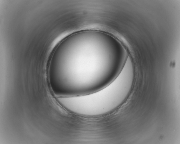 X0000091851230200709050929