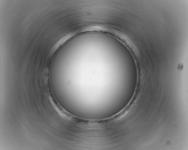 X0000091851233200709050929