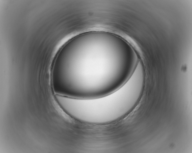 X0000091851238200709050929