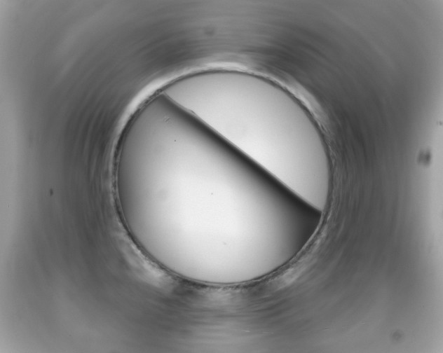X0000091851240200709050929