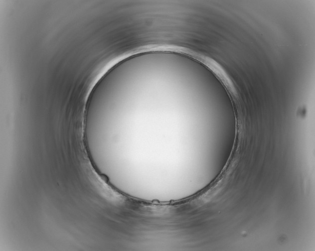 X0000091851244200709050929