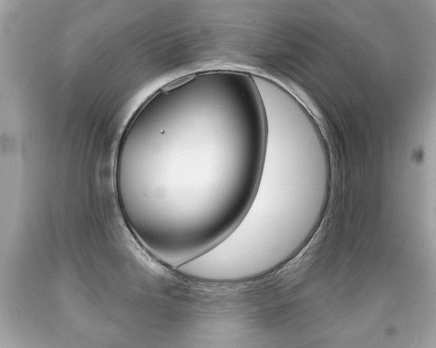 X0000091851246200709050929
