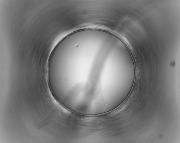 X0000091851247200709050929