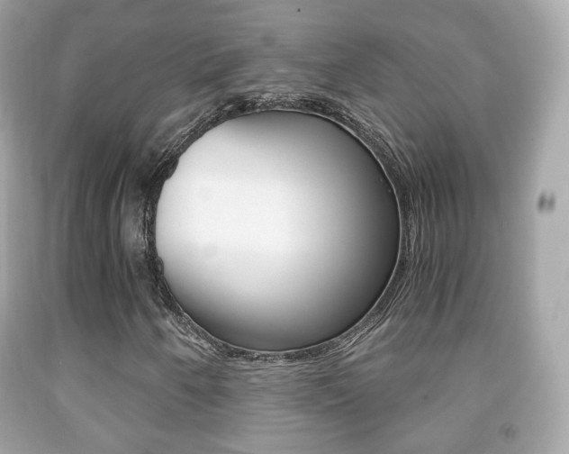 X0000091851250200709050928