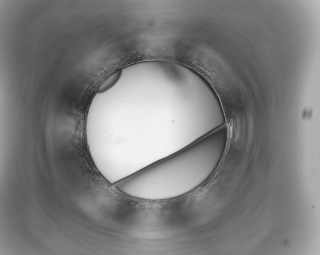 X0000091851251200709050928