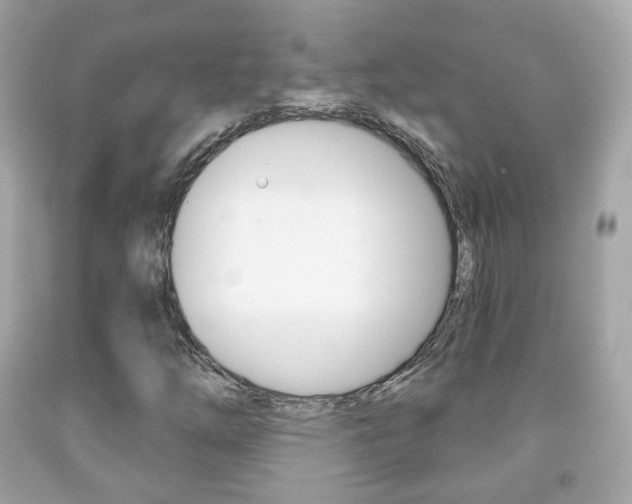 X0000091851254200709050928