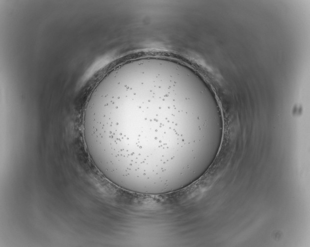 X0000091851255200709050928