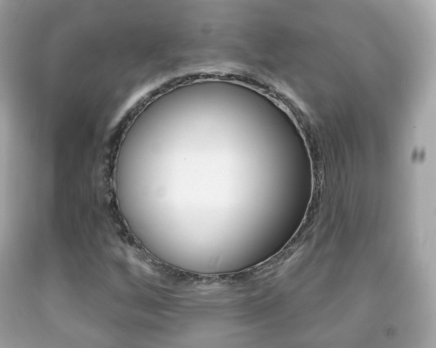 X0000091851256200709050928