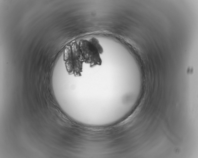 X0000091851257200709050928