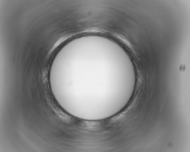 X0000091851258200709050928