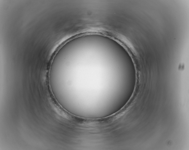 X0000091851260200709050928
