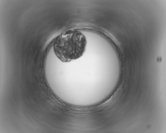 X0000091851261200709050928