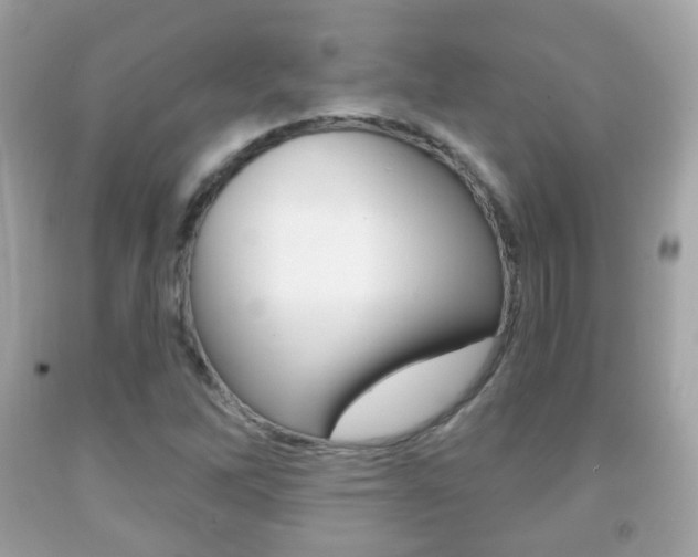 X0000091851262200709050928