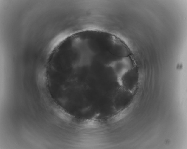 X0000091851263200709050928