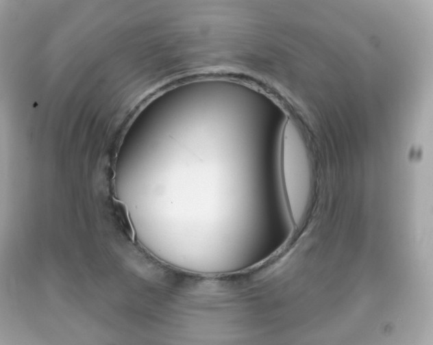 X0000091851265200709050928