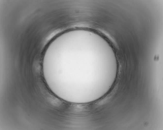 X0000091851266200709050928
