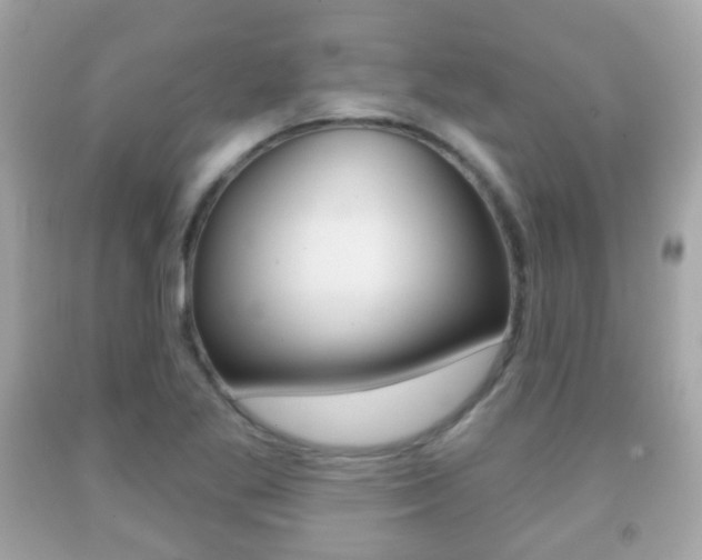 X0000091851269200709050928
