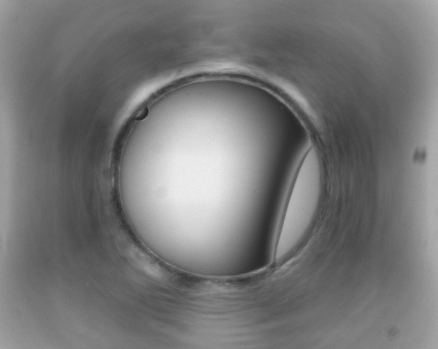 X0000091851270200709050928