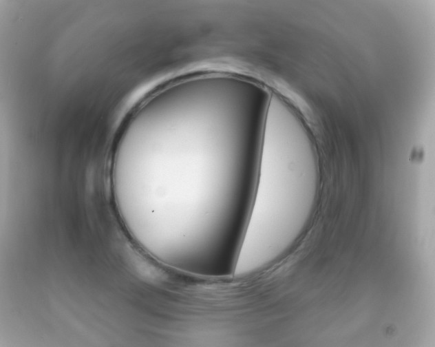 X0000091851272200709050928