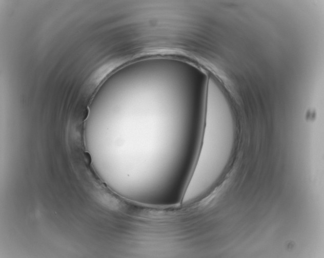 X0000091851273200709050928