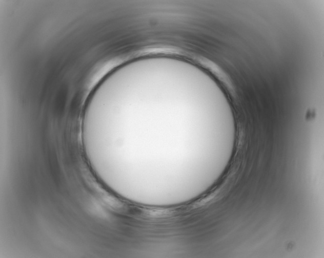 X0000091851274200709050928