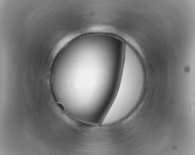 X0000091851277200709050928