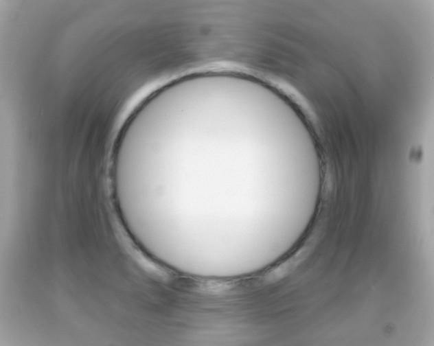 X0000091851278200709050928