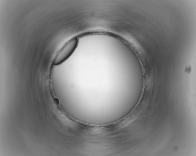 X0000091851279200709050928