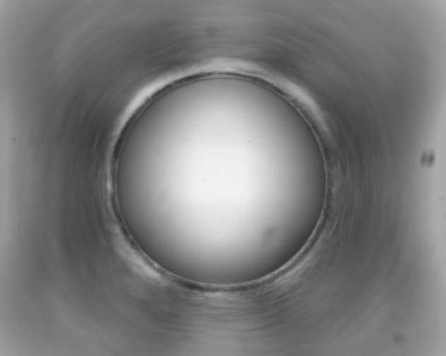 X0000091851280200709050928