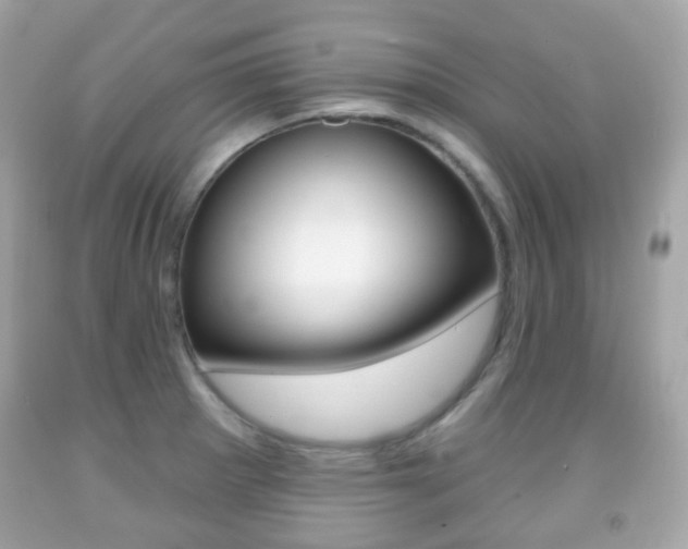 X0000091851281200709050928