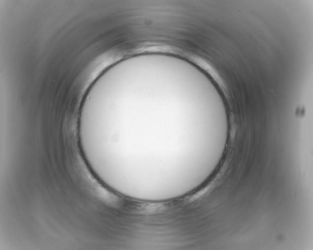 X0000091851282200709050928