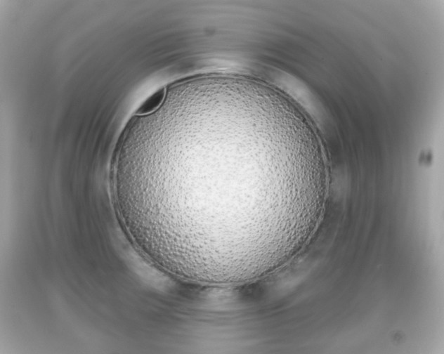 X0000091851283200709050928