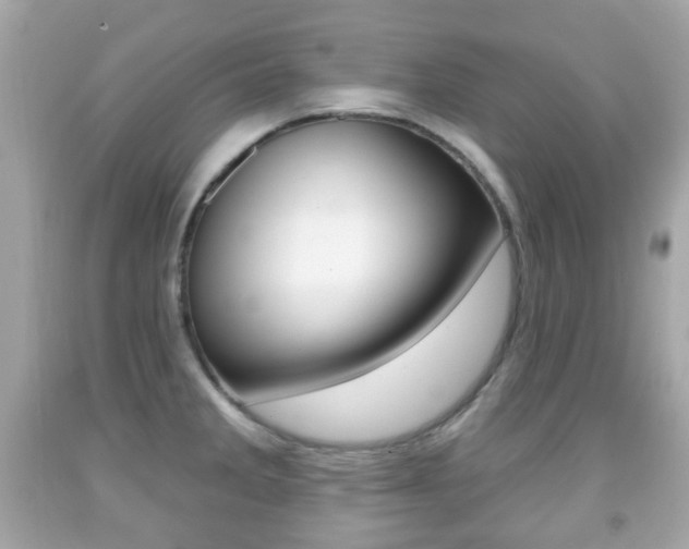 X0000091851285200709050928