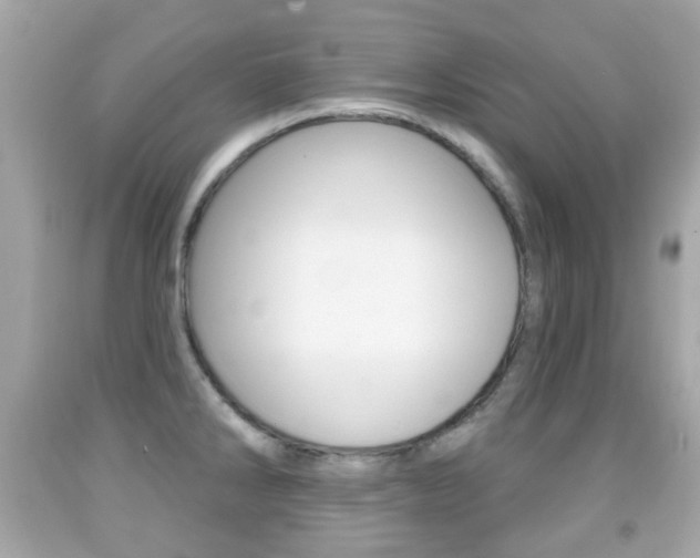 X0000091851286200709050928