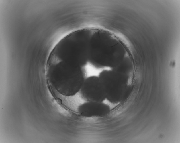 X0000091851287200709050928