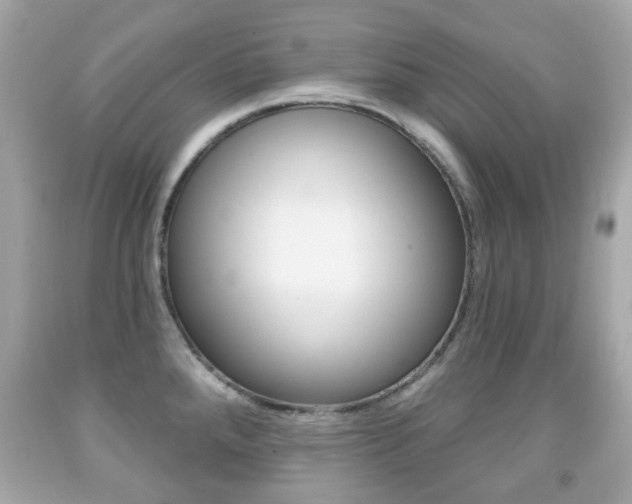 X0000091851288200709050928